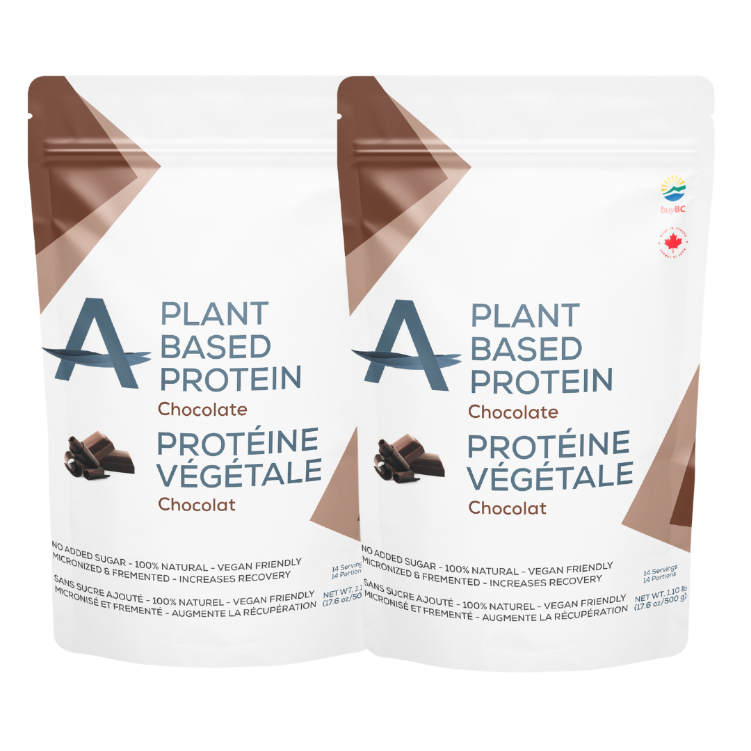 Chocolate Protein Bundle - Get 2 Chocolate Plant Based Protein Powder 500g