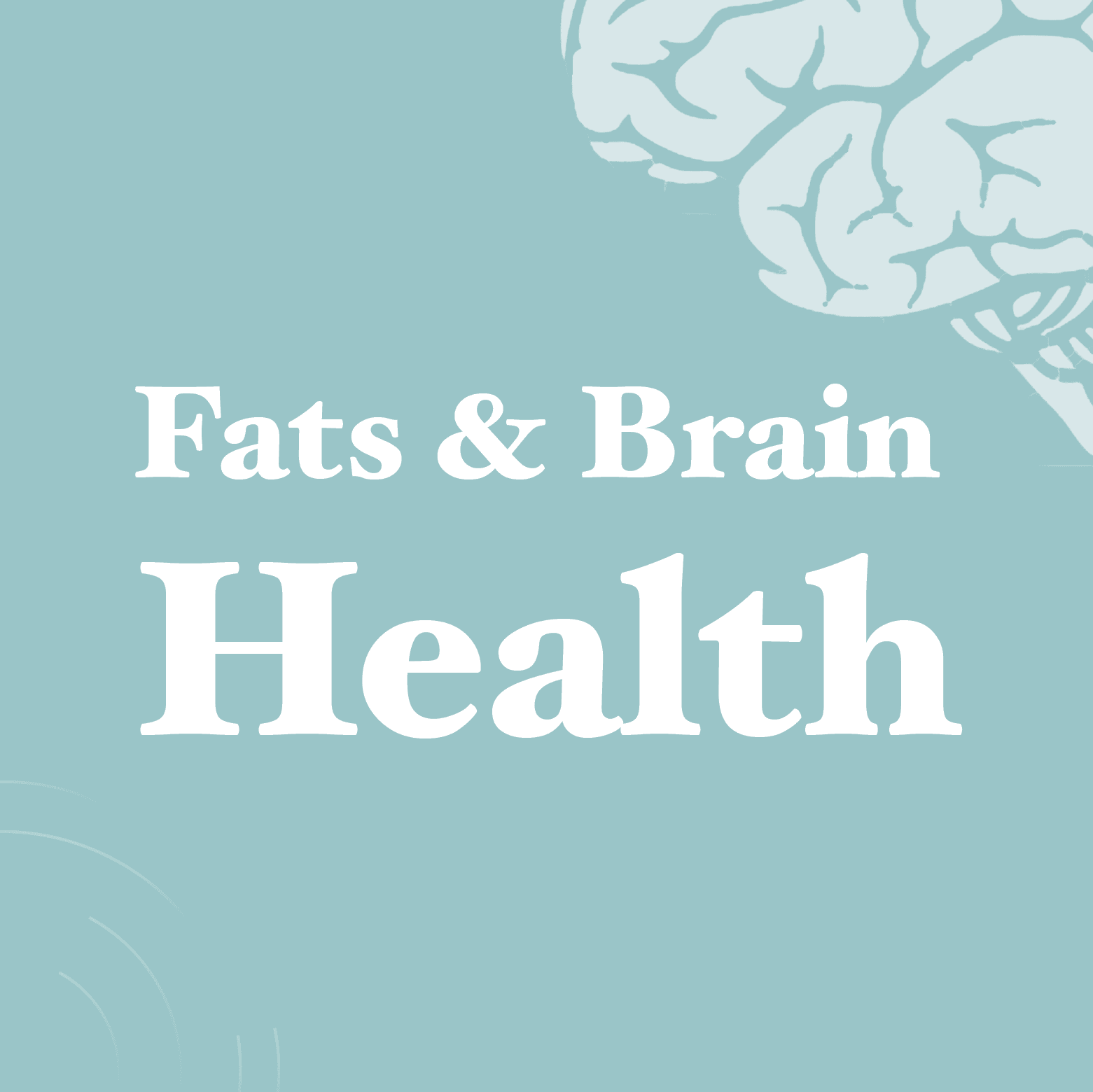 Fats and Brain Health - AURA Nutrition
