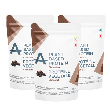 Chocolate Protein Bundle - Get 3 Chocolate Plant Based Protein Powder 500g